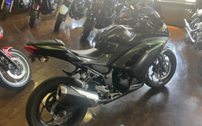 KAWASAKI NINJA 250 EX250L