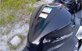 KAWASAKI NINJA 250 EX250P