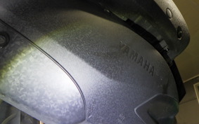 YAMAHA X-MAX 250 SG70J