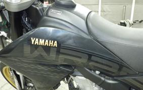 YAMAHA WR250X 2009 DG15J