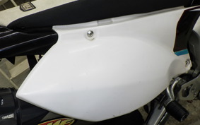 YAMAHA WR250R DG15J