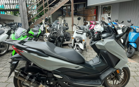 HONDA FORZA 250 MF17