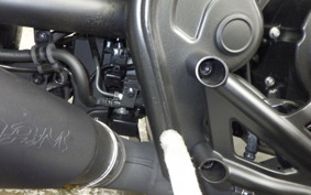 HONDA REBEL 250 S 2024 MC49