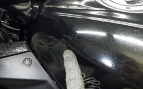 KAWASAKI NINJA 250 EX250L