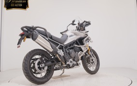 TRIUMPH TIGER 900 RALLY PRO 2023
