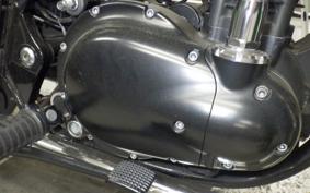 KAWASAKI W800 CAFE 2021