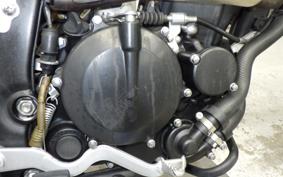 KAWASAKI KLX250D TRACKER X 2023 LX250V