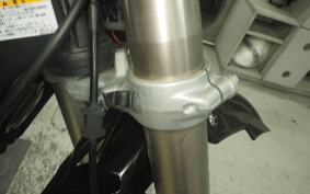 KAWASAKI KLX250D TRACKER 2009 LX250E