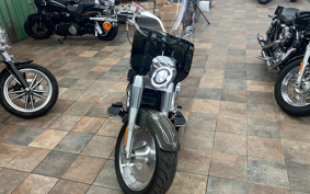 HARLEY FLFBS 2018 YGK
