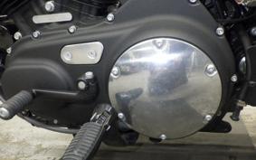 HARLEY XL883N 2016