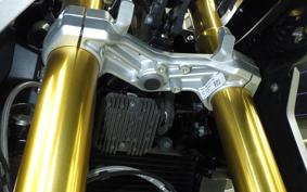 BMW G310GS 2024