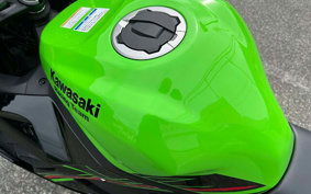 KAWASAKI Ninja ZX-4RR KRT 2024 ZX400P