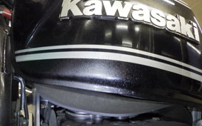 KAWASAKI ZRX-2 2008 ZR400E