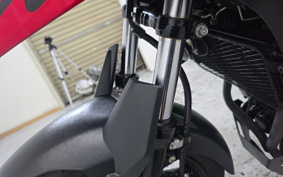 SUZUKI STROM 250 DS11A