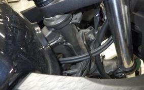 KAWASAKI NINJA 250 EX250L