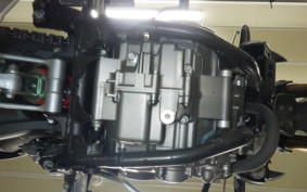 HONDA CRF250L 2024 MD47