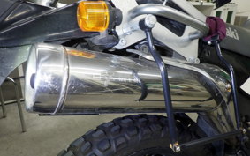 KAWASAKI SUPER SHERPA 2021 KL250G