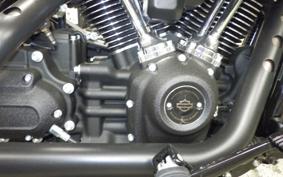 HARLEY FXLRST1920 2025
