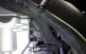 YAMAHA WR250X 2024 DG15J