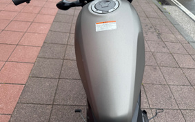 HONDA  REBEL 250 ABS MC49