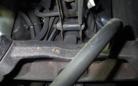 YAMAHA MAJESTY 250 Gen.4 2023 SG20J