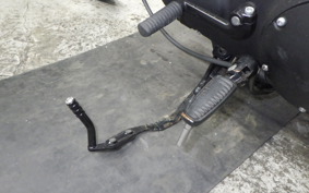 HARLEY XL1200NS 2019