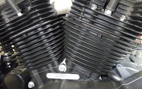 HARLEY XL883N 2021