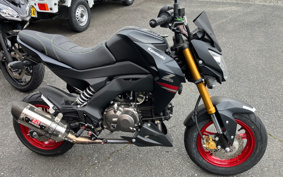 KAWASAKI Z125 PRO BR125H