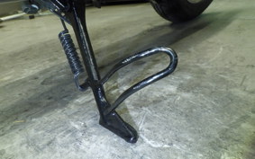 KAWASAKI W800 2025