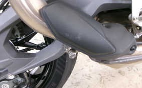DUCATI PANIGA-REV2S 2025 3H00