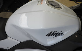 KAWASAKI NINJA 250 EX250L