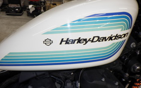 HARLEY XL1200NS 2019