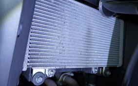 KAWASAKI NINJA 250 ABS 2020 EX250L