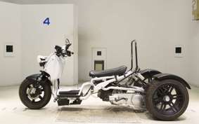 OTHER UNREGISTERED MODEL by BDS TRIKE 2025