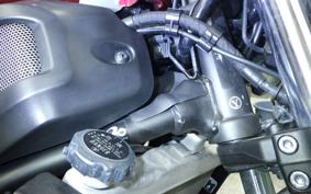 YAMAHA XSR700 2019 RM22J