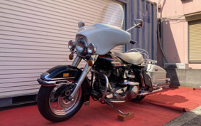 HARLEY FLH 1200 2023 194