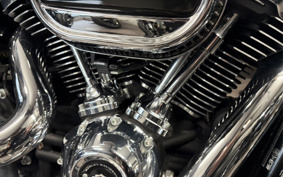 HARLEY FLFBS 2021 YGK