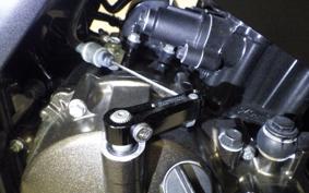 SUZUKI ｼﾞｸｻｰ250SF 2009 ED22Y