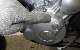 YAMAHA WR250X 2019 DG15J