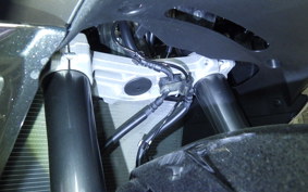 KAWASAKI NINJA 1000 SX 2024 ZXT02K