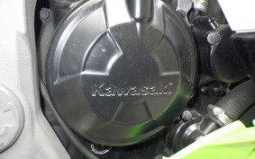 KAWASAKI NINJA 250 SL 2001 BX250A