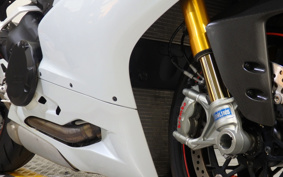 DUCATI 1199PANIGA-RES 2014 H802J