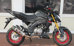 KAWASAKI Z125 PRO BR125H