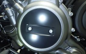 HARLEY RH975S 2026