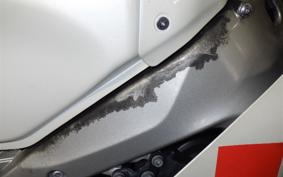 YAMAHA XSR900 GP 2024 RN96J