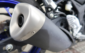 YAMAHA YZF-R25 RG10J