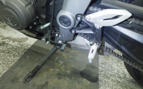 TRIUMPH DAYTONA 660 2024
