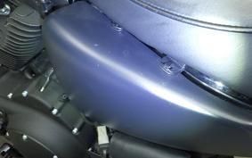 HARLEY XL1200NS 2021