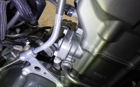 HONDA REBEL 250 2001 MC49