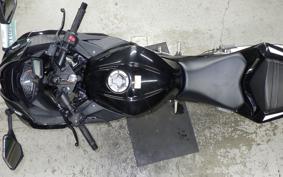 KAWASAKI NINJA 250 2025 EX250L